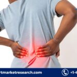 India Topical Pain Relief Market